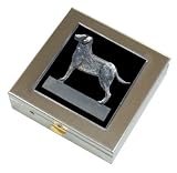Black Labrador Retriever Vitamin Case Large