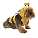 Bee Pet Adult Halloween Costume (Small)