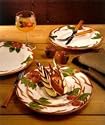 Franciscan Apple 10-1/2-Inch Dinner Plates, Set of 4