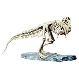 1/10 恐竜 ティラノサウルス