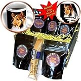 Dogs Sheltie/Shetland Sheepdog - Sheltie Shetland SheepDog - Coffee Gift Baskets - Coffee Gift Basket