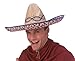 Rubie's Costume Co Embroidered Straw Sombrero Costume