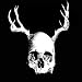 Skull With Antlers