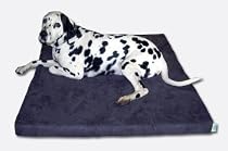 ExtraComfort Orthopaedic Memory Foam Dog Beds For Extra Large And Heavy Dogs 20cm (8 inches) Deep