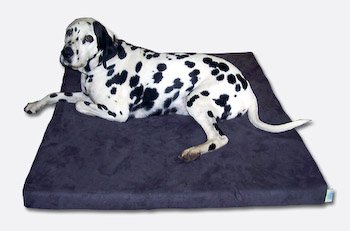 ExtraComfort Orthopaedic Memory Foam Dog Beds For Extra Large And Heavy Dogs 20cm (8 inches) Deep