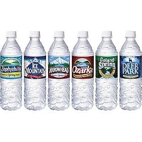 Nestle Bottled Water 16.9oz Per Bottle, 24 Bottle Case (Brand Varies By Region)