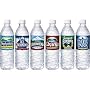 Nestle Bottled Water 16.9oz Per Bottle, 24 Bottle Case (Brand Varies By Region)