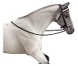Dressage Bridle&nbsp;