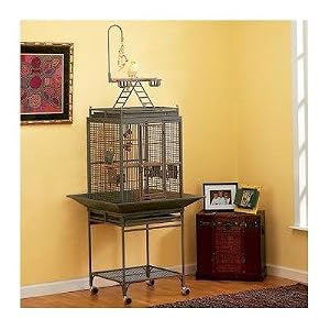 Avian Adventures Nina Playtop Bird Cage