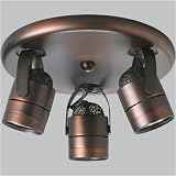 Progress Lighting Ceiling Directional P6153-174WB Urban Bronze