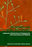 Big Business and Economic Development: Conglomerates and Economic Groups in Developing Countries and Transition Economies under Globalisation