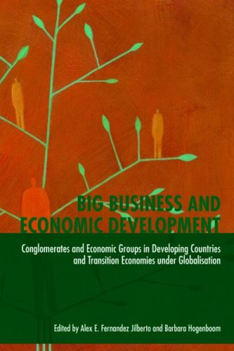 Big Business and Economic Development: Conglomerates and Economic Groups in Developing Countries and Transition Economies under Globalisation ... International Business and the World Economy)