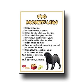 Pug Property Laws Fridge Magnet (Black)