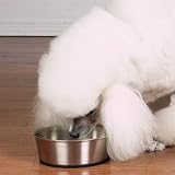 Stainless Steel Bowl W/rubber Base 52oz