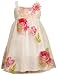 Bonnie Jean Girls 2-6X Sequin Bodice To Burn Out Flowers On Skirt, Multi, 4