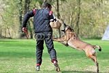 Wallmonkeys Peel and Stick Wall Decals - Dog Sport - 60