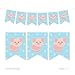 Andaz Press Hanging Pennant Party Banner with String, Farm Animal Pig, 9-Feet, 1-Set, Decor Paper Decorations, Includes String