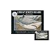 Great White Shark (Smithsonian Oceanic)