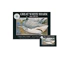 Great White Shark (Smithsonian Oceanic)