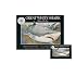 Great White Shark (Smithsonian Oceanic)