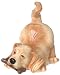 golden retriever - Golden Retriever Bank2008