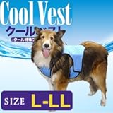 ���i�̏ڍ�