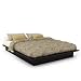 Sonax Q-102-LPB Plateau Queen Platform Bed in Ravenwood Black Sonax Q-102-LPB Plateau Queen Platform Bed in Ravenwood Black