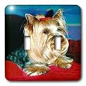 Dogs Yorkshire Terrier - Yorkshire Terrier - Light Switch Covers - double toggle switch