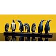 Penguins