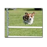  : POSTCARDS: Quotation - Daredevil, box of 50 postcards