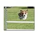 All Products : POSTCARDS: Quotation - Daredevil, box of 50 postcards