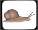 Mouse Pad with mollusc, snail, slimy, snacka, invertebrate, animal, snigel