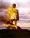 THE WICKER MAN 8x10 COLOR PHOTO