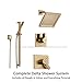 Delta Vero Champagne Bronze Shower System with Dual Control Shower Handle, 3-setting Diverter, Modern Square Showerhead, and Handheld Shower SS175385CZ