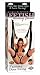 Search : Pipedreams Fetish Fantasy Couples Door Swing