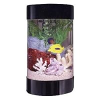 Midwest Tropical AquaRound Aquarium