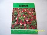 Fuchsias