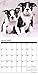 Just Boston Terrier Puppies 2017 Calendar