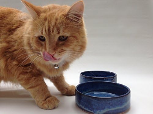 Set of 2 - Blue Dog or Cat Food Bowls - Handmade Pottery Pet Dishes