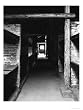Bunk Beds in Birkenau Concentration Camp Where as Many as 9 Prisoners Slept in One Bed, Poland Photographic Poster Print by David Clapp, 30x40