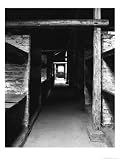 Bunk Beds in Birkenau Concentration Camp Where as Many as 9 Prisoners Slept in One Bed, Poland Photographic Poster Print by David Clapp, 30x40