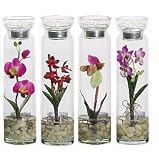 Candle Assortment 4 - B001DQF3EI