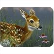 Tuftop Fawn Cutting Board Size: Medium (12