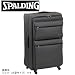 :  SPALDING 超軽量 4.3ｋｇ 大型