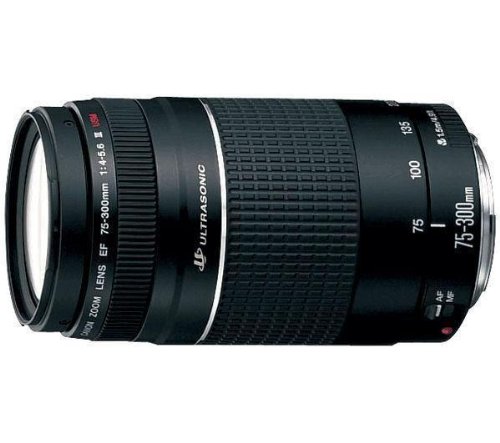 Canon Zoom Telephoto EF 75-300mm f/4.0-5.6 III USM Autofocus Lens