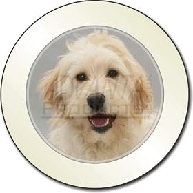 Labradoodle Dog Car Tax Disc Holder New Animal, Ref:AD-LD1T
