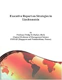 Executive Report on Strategies in Liechtenstein