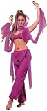 Arabian Princess Belly Dancer Costume