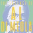 The Essence of Al Di Meola