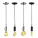 Globe Electric 1-Light Vintage Edison Mini Pendant, Red Designer Woven Fabric Cord, Brushed Steel Finish, 64755